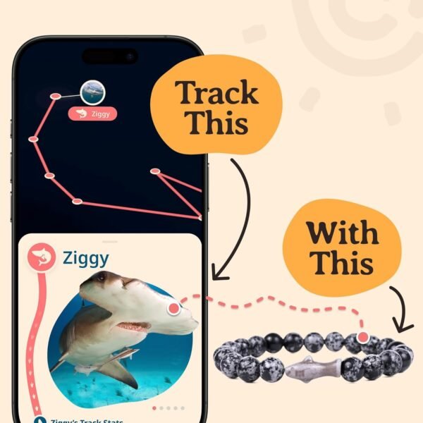 Shark Tracking Bracelet – Track a Real Shark’s Journey – Supports Wildlife Conservation – Elastic, One Size Fits Most – on Interactive Mobile App Map – Unisex Ocean Conservation Gift
