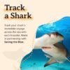 Shark Tracking Bracelet – Track a Real Shark’s Journey – Supports Wildlife Conservation – Elastic, One Size Fits Most – on Interactive Mobile App Map – Unisex Ocean Conservation Gift